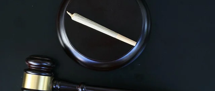 职务侵占罪涉案金额计算方式