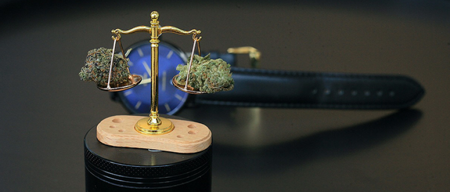 沈某某职务侵占案